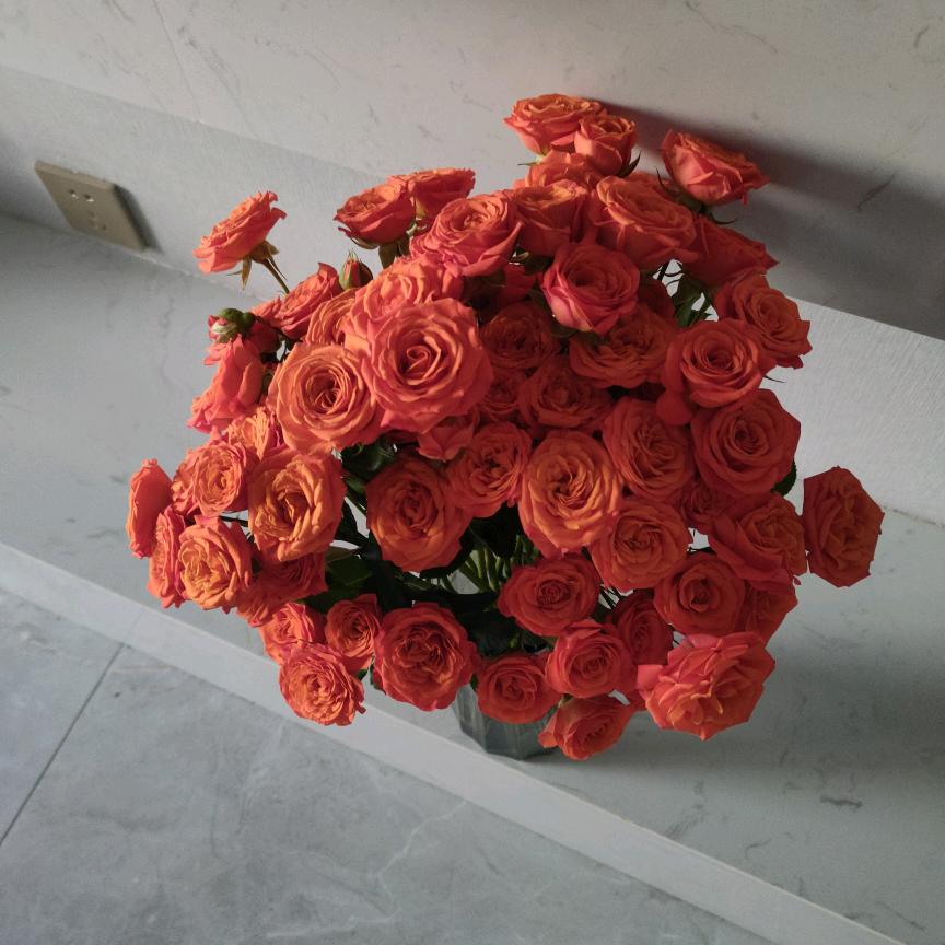 小幸运🌸🌷