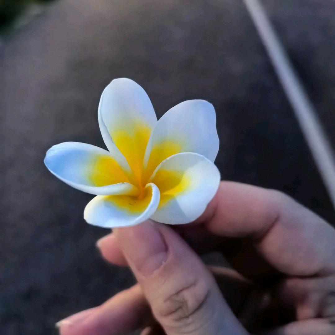 平淡