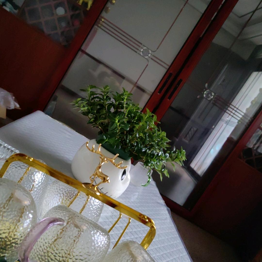 快乐的一天