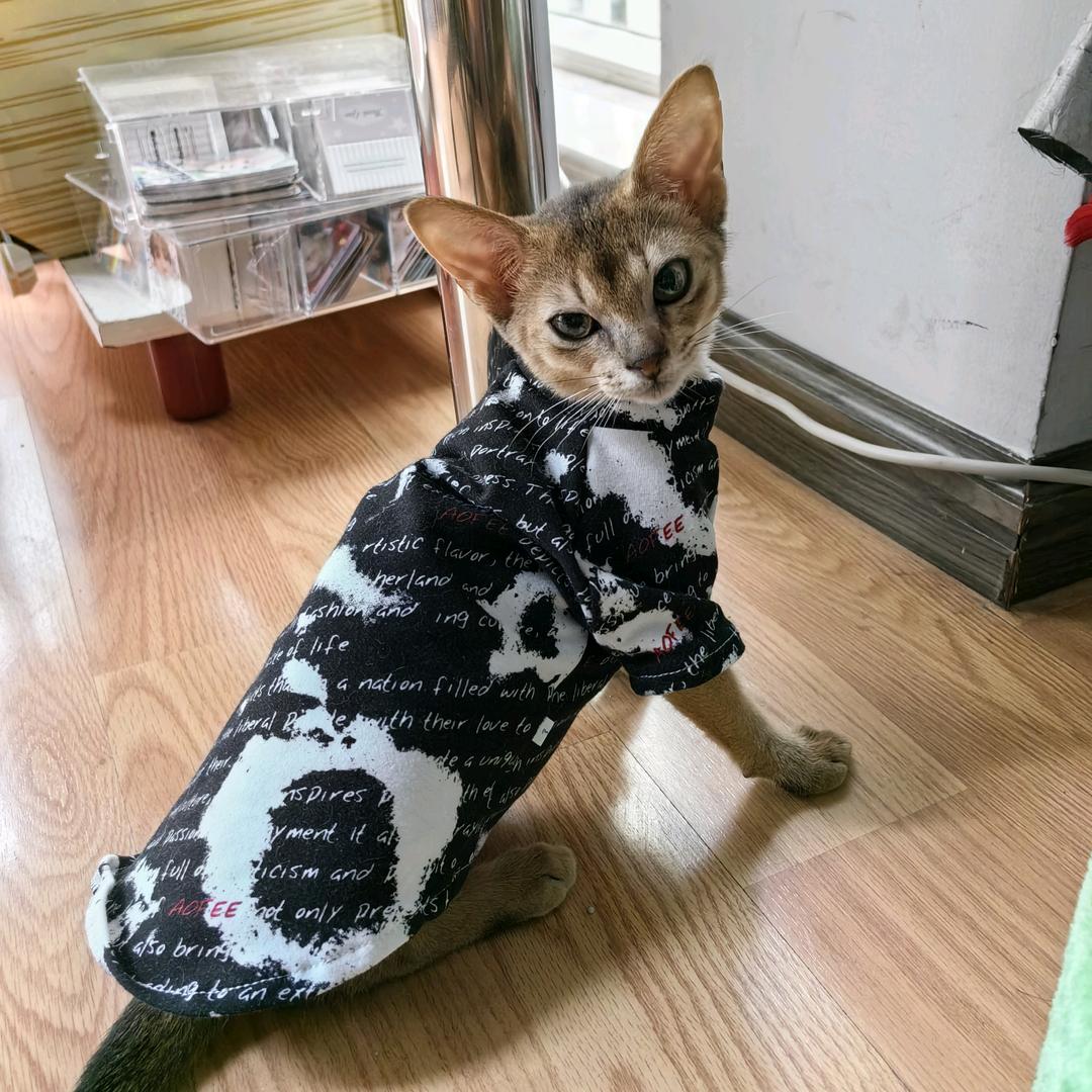 旖旎