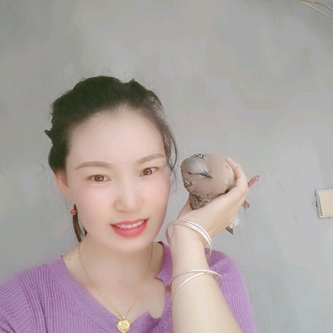 莲姐