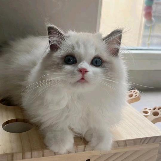 💋ℒᎭℯ苡沫 ꪶꪮꪰꪤꫀ¹³₁₄✨