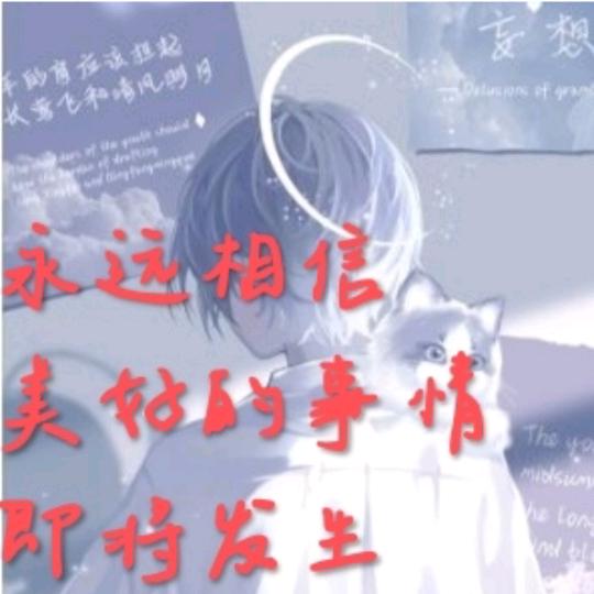晨晨