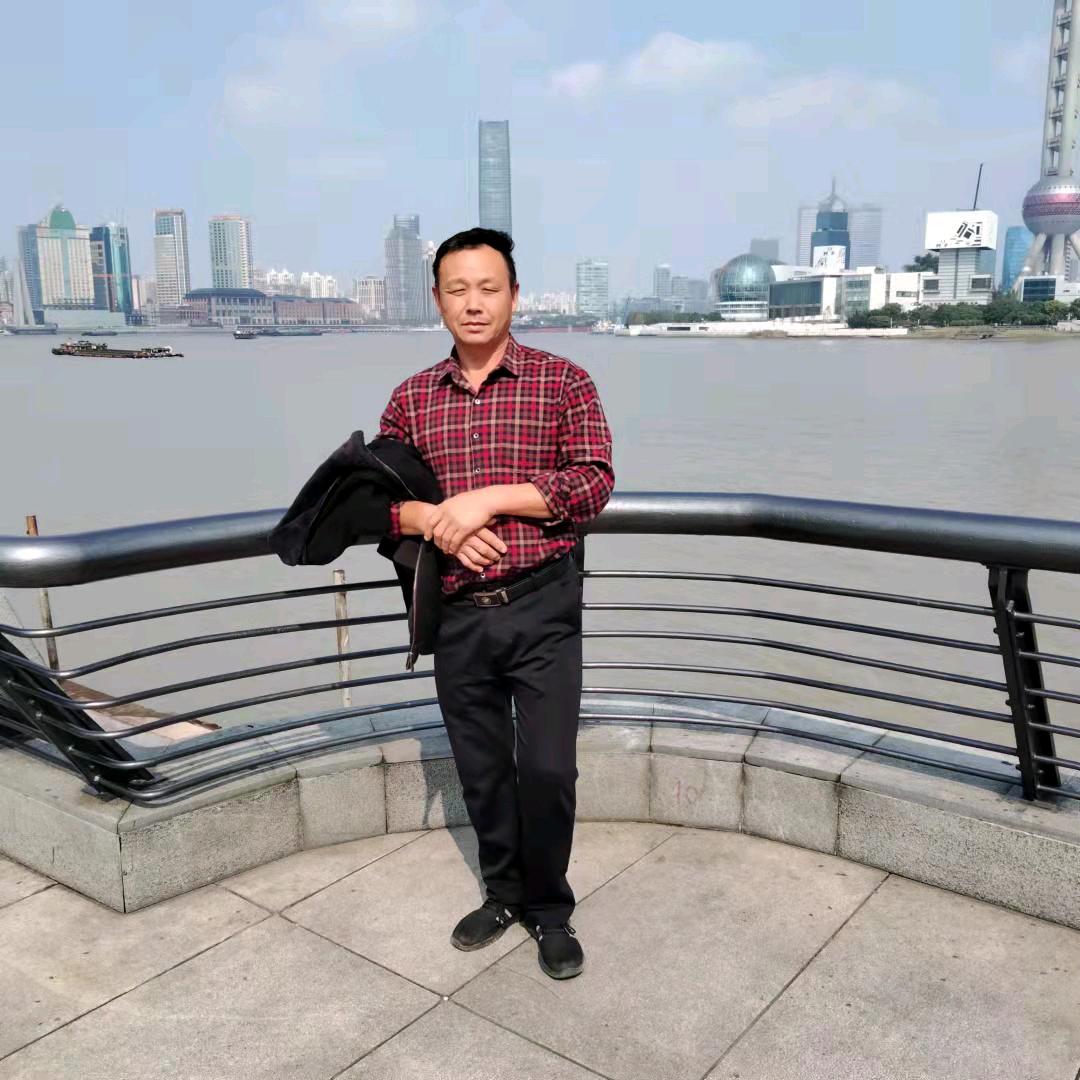 家有可爱的猫