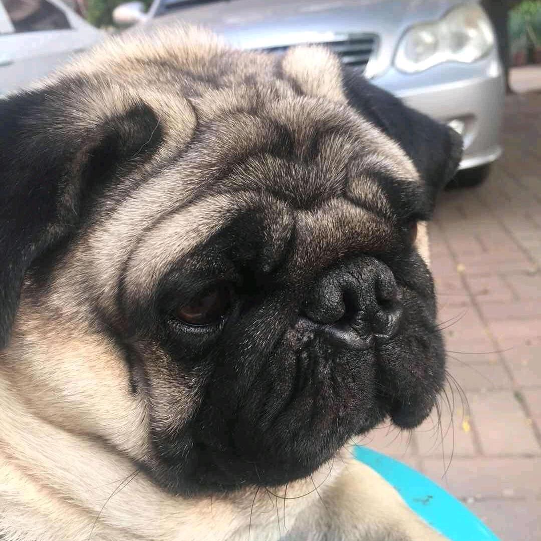 快乐的人