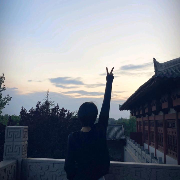 卷柏