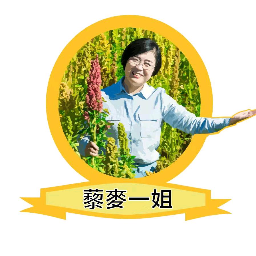藜麦一姐:源味武川特产