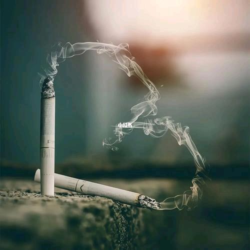 ᭄ℳ๓🚬笑敬过往྅