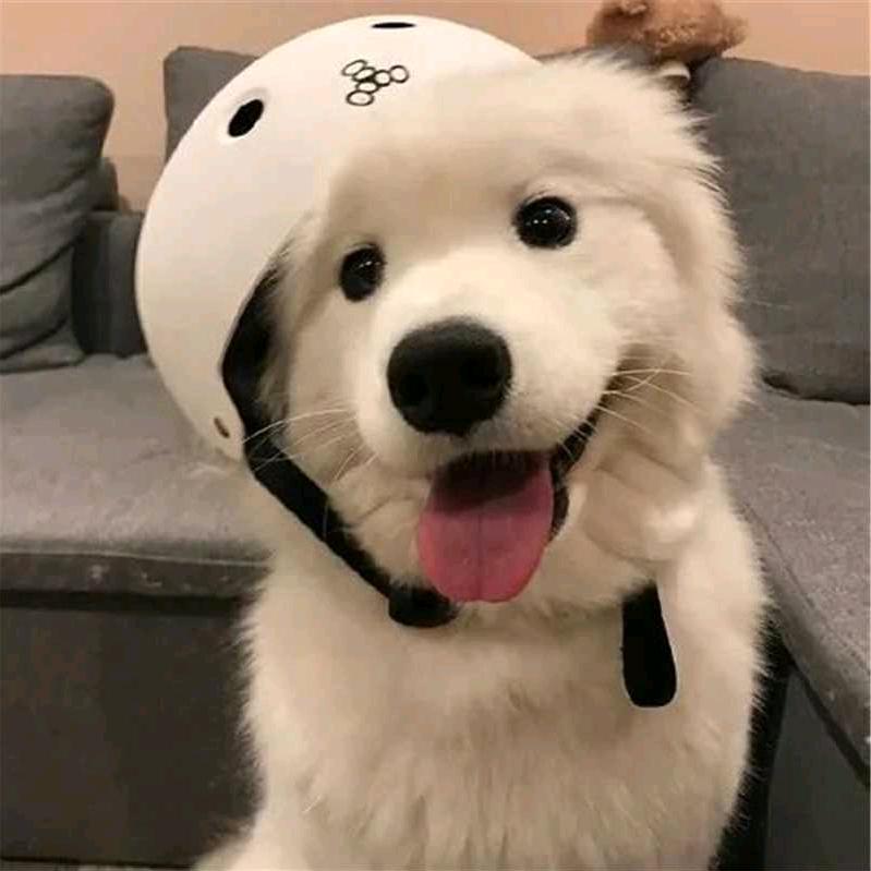 和风