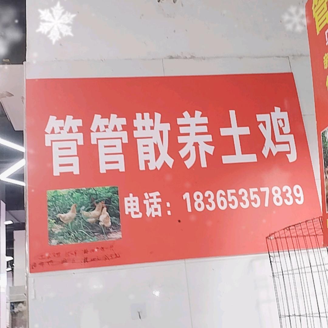 管管散养土鸡 贝林智慧农贸市场
