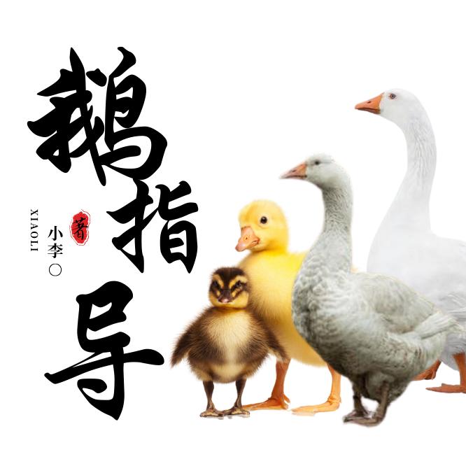 鹅指导小李