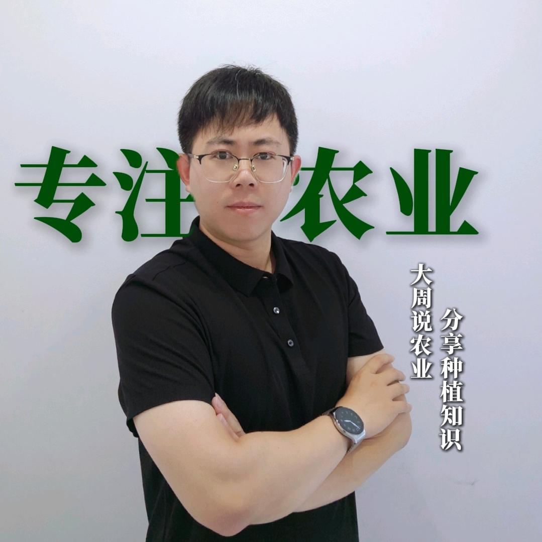 大周说农业