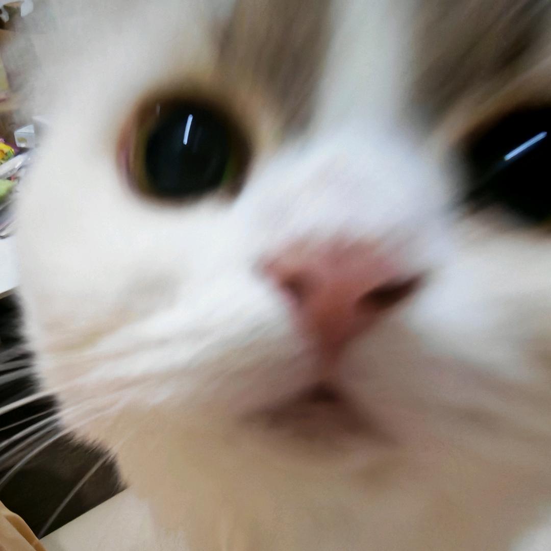 AppleU
