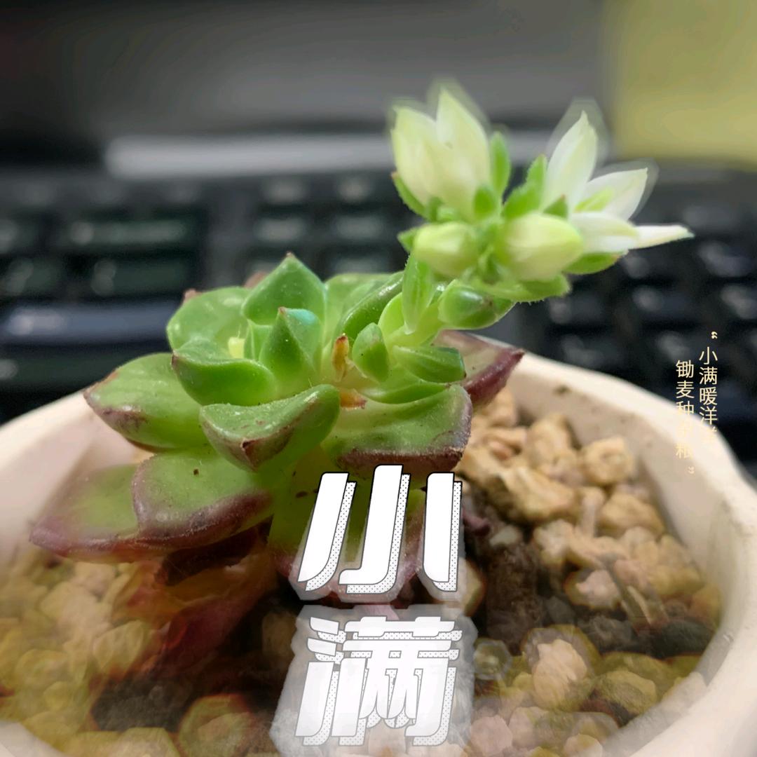 噗噗噗噗噗