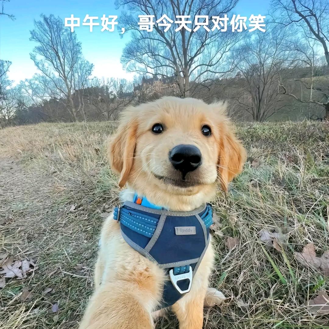 中午多吃点