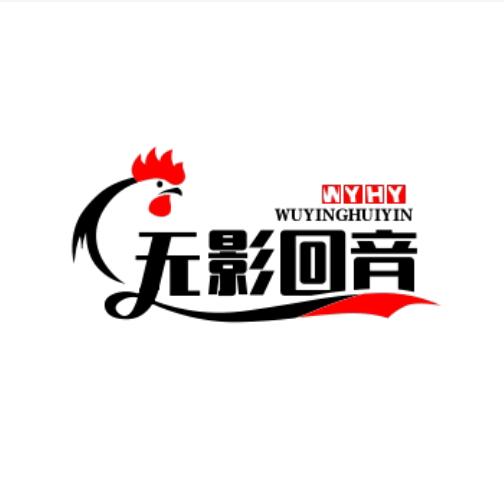无影回音
