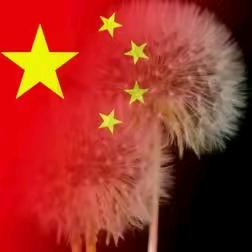 冰雪柠檬🇨🇳