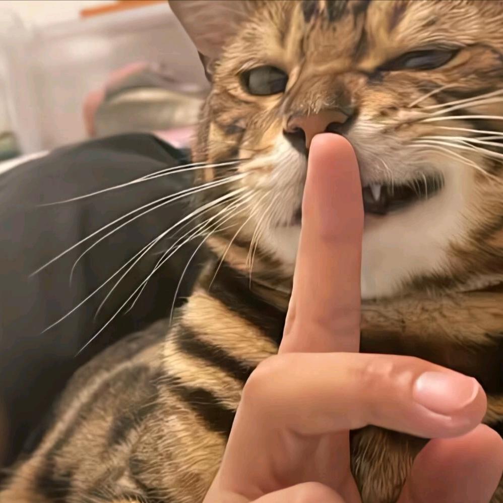 张补是