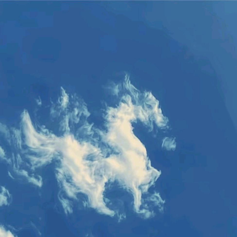 顺其自然