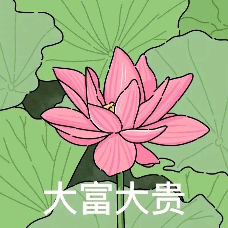 玲珑