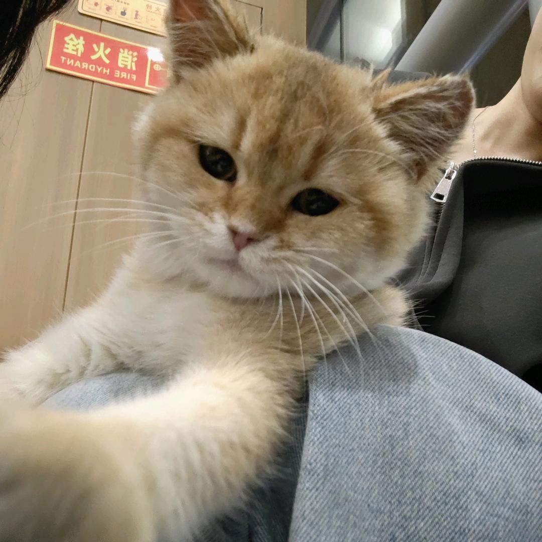 纯净水