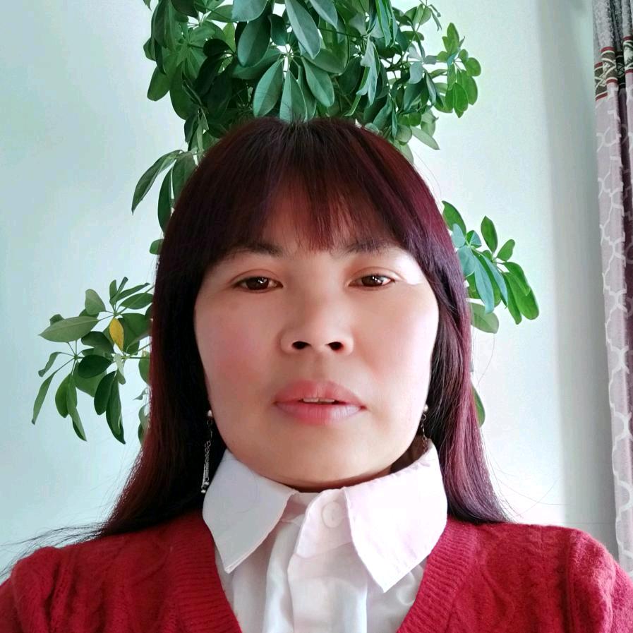 回到家乡。