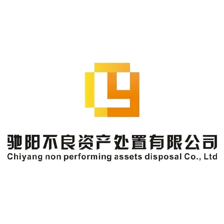 驰阳不良资产处置有限公司
