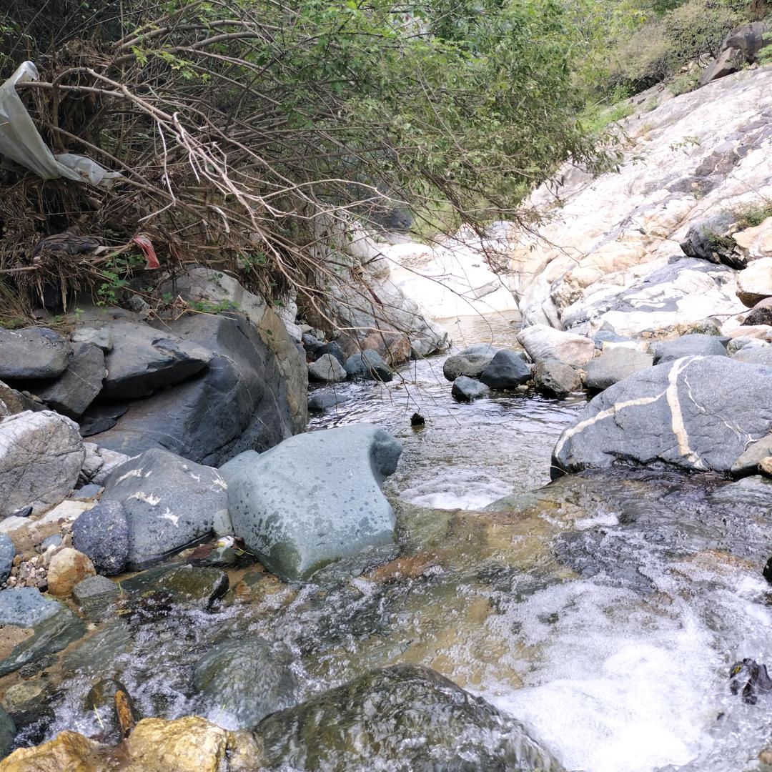浮生半闲