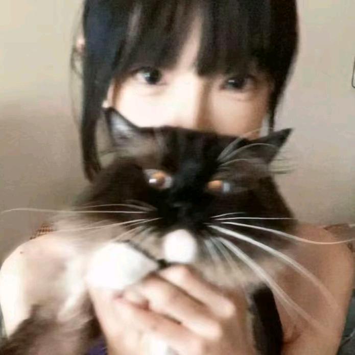 惠宝