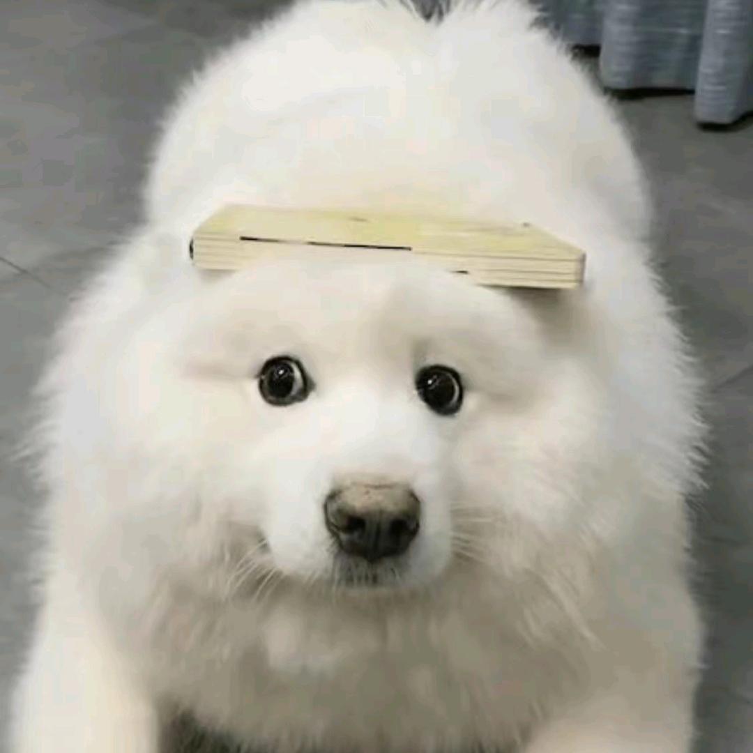 李嘻嘻