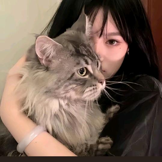 圆圆嘴角的小狗