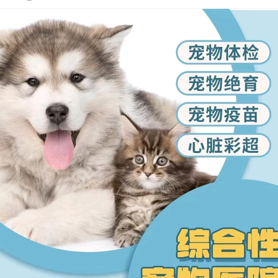 阜阳现代宠物医院