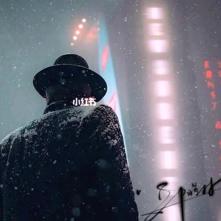 淡漠人生