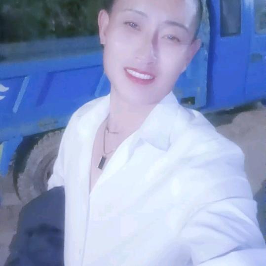 小七哥