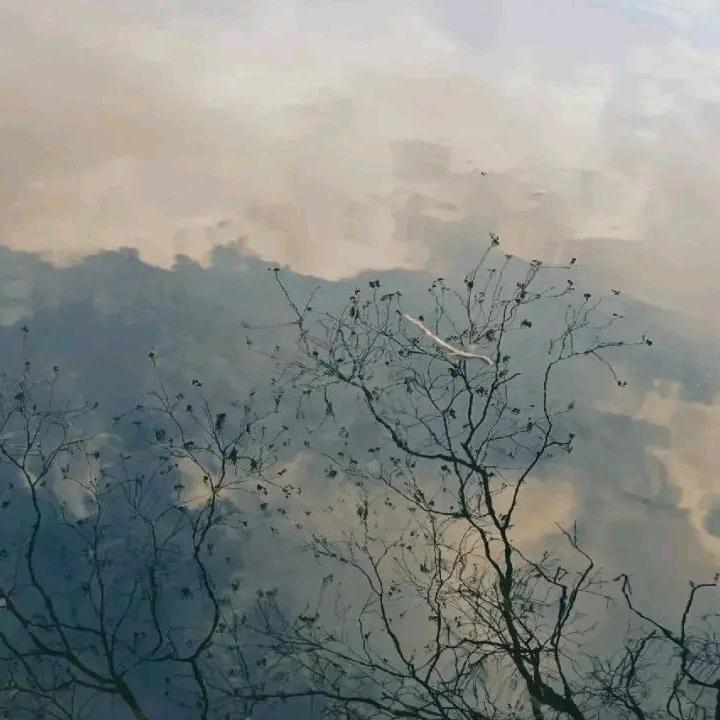 晕晕晕