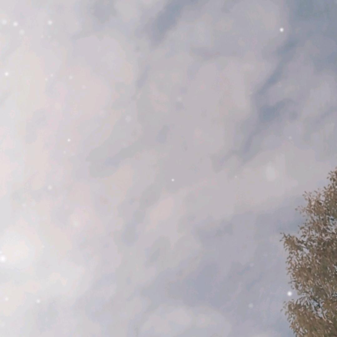 抖音号码
