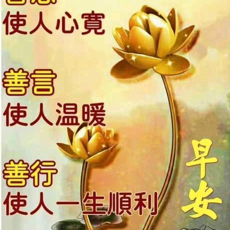 灵智头像