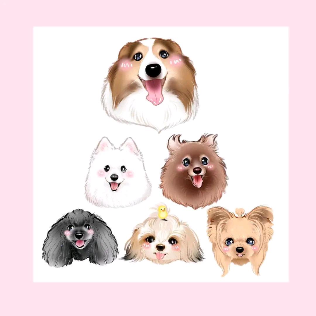 菲碧家的小可爱们