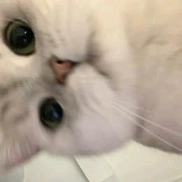 情绪
