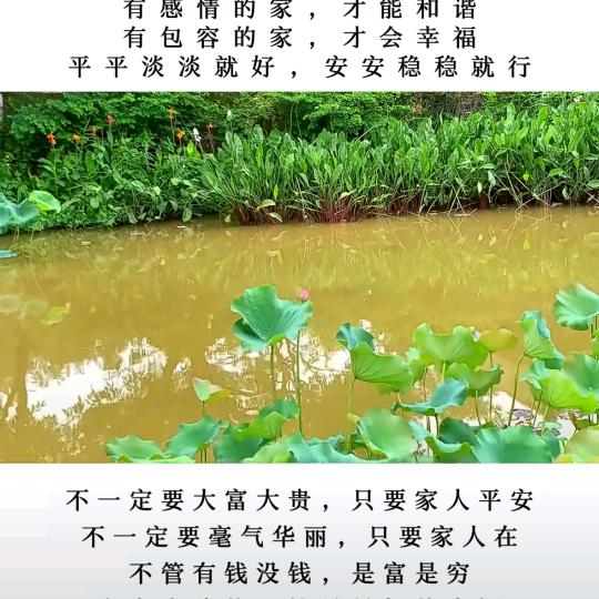 常乐青云上