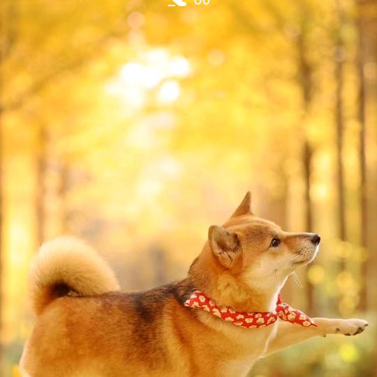 女人被男人伤过心好痛。