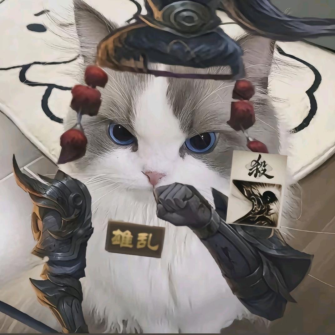 悲泪弃懦头像