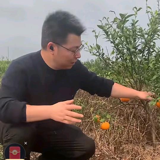 超哥除草日记