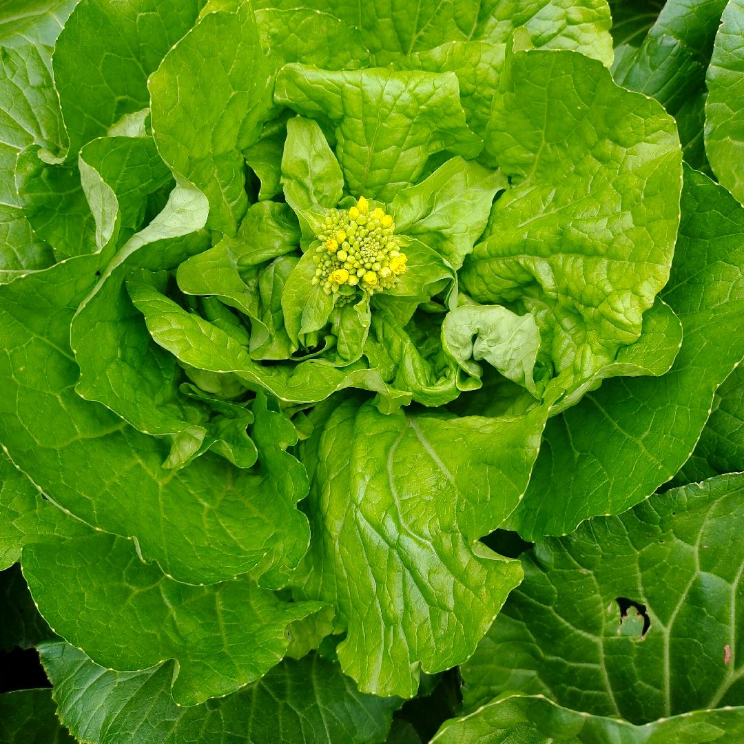 赵同学零食铺（双十一折上折）