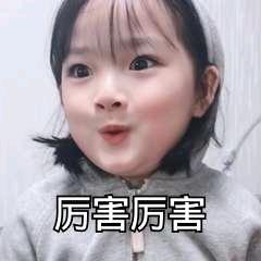 🌈苏州第一深情   　　　　　　　╲