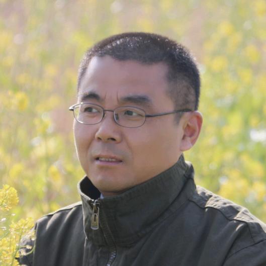 晚秋红叶