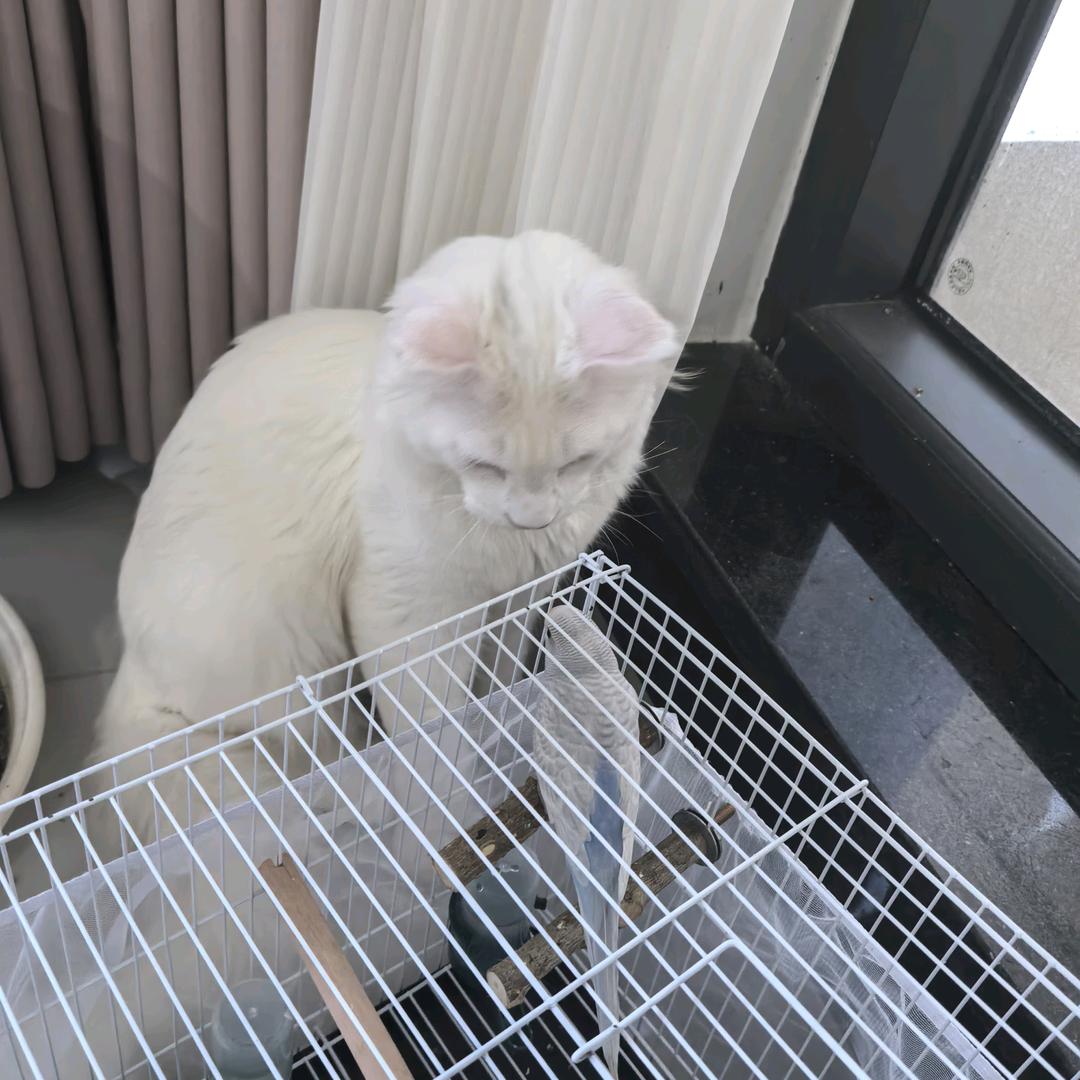 足球宝贝敏小姐
