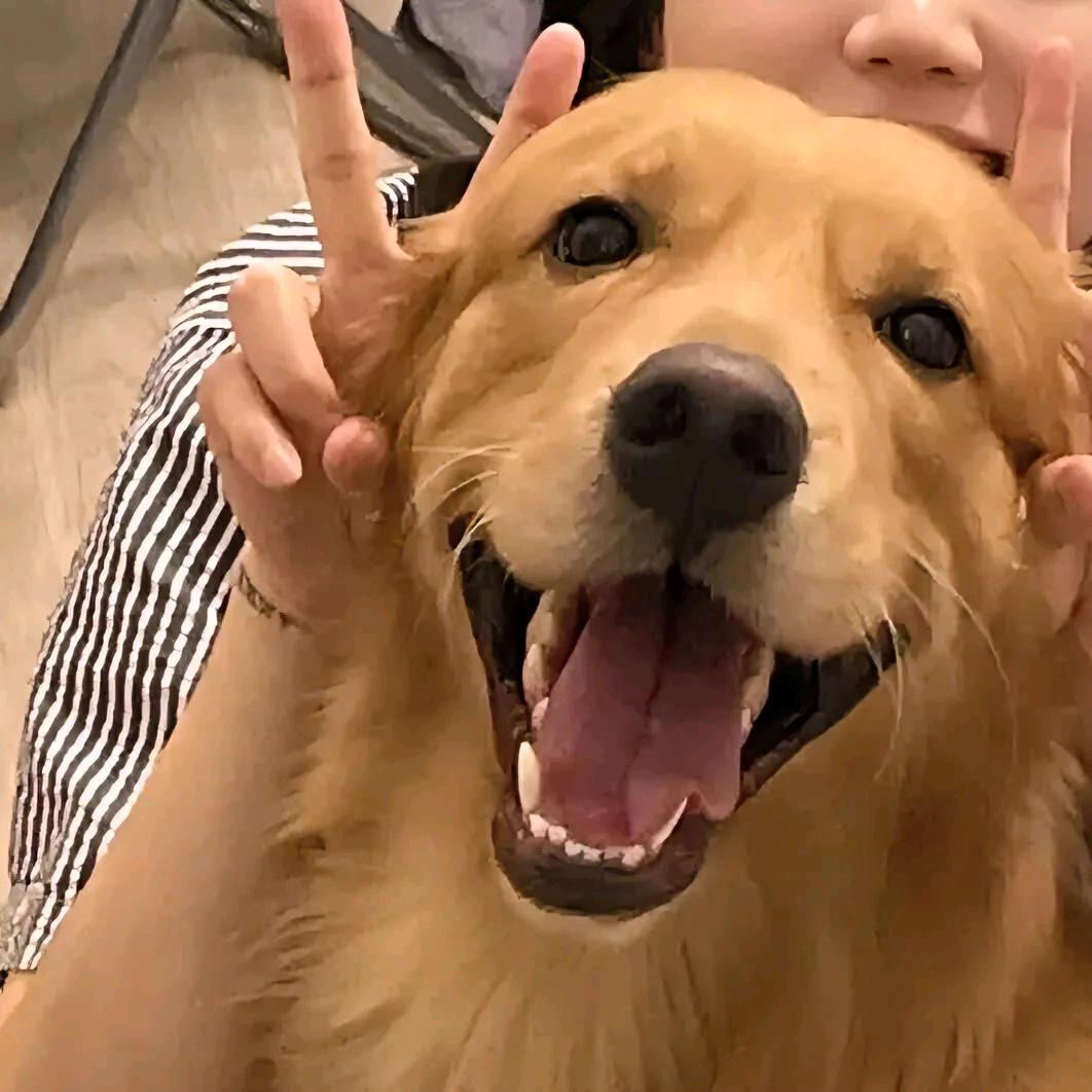 a🪺青青不困