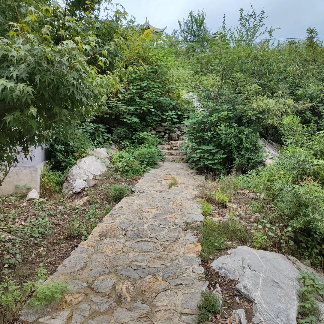 果露