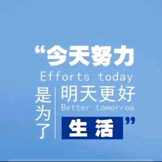 阳光万里